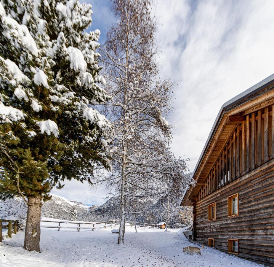 Appartement Nido Del Brenta à Madonna Extérieur photo