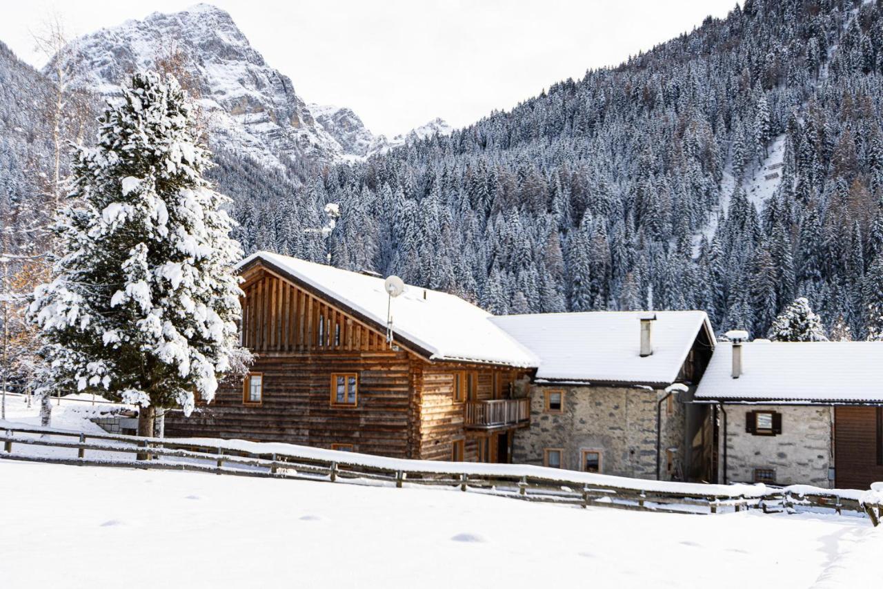 Appartement Nido Del Brenta à Madonna Extérieur photo