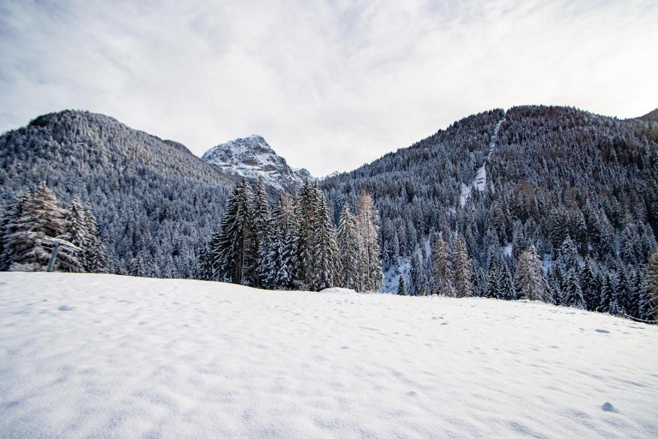 Appartement Nido Del Brenta à Madonna Extérieur photo